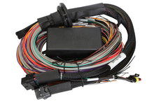 Load image into Gallery viewer, Haltech Elite 1500 8ft Premium Universal Wire-In Harness