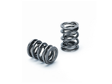 Load image into Gallery viewer, Supertech Honda B16A/B17A/B18C Dual Valve Spring - Set of 16