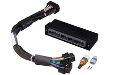 Load image into Gallery viewer, Haltech 92-95 Honda Civic/Integra (OBD-I B-Series) Elite 1000/1500 Plug-n-Play Adaptor Harness