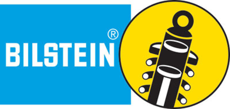 Bilstein B6 99-04/06-13 Ford F53 Steering Damper